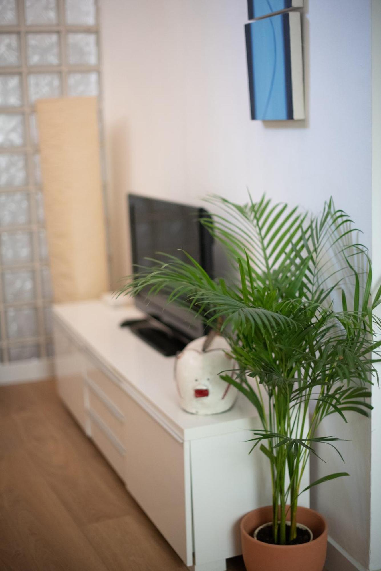 Cozy & Quiet Apartment In The Center Málaga Extérieur photo